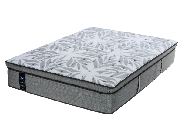 Sealy Silver Pine - Queen